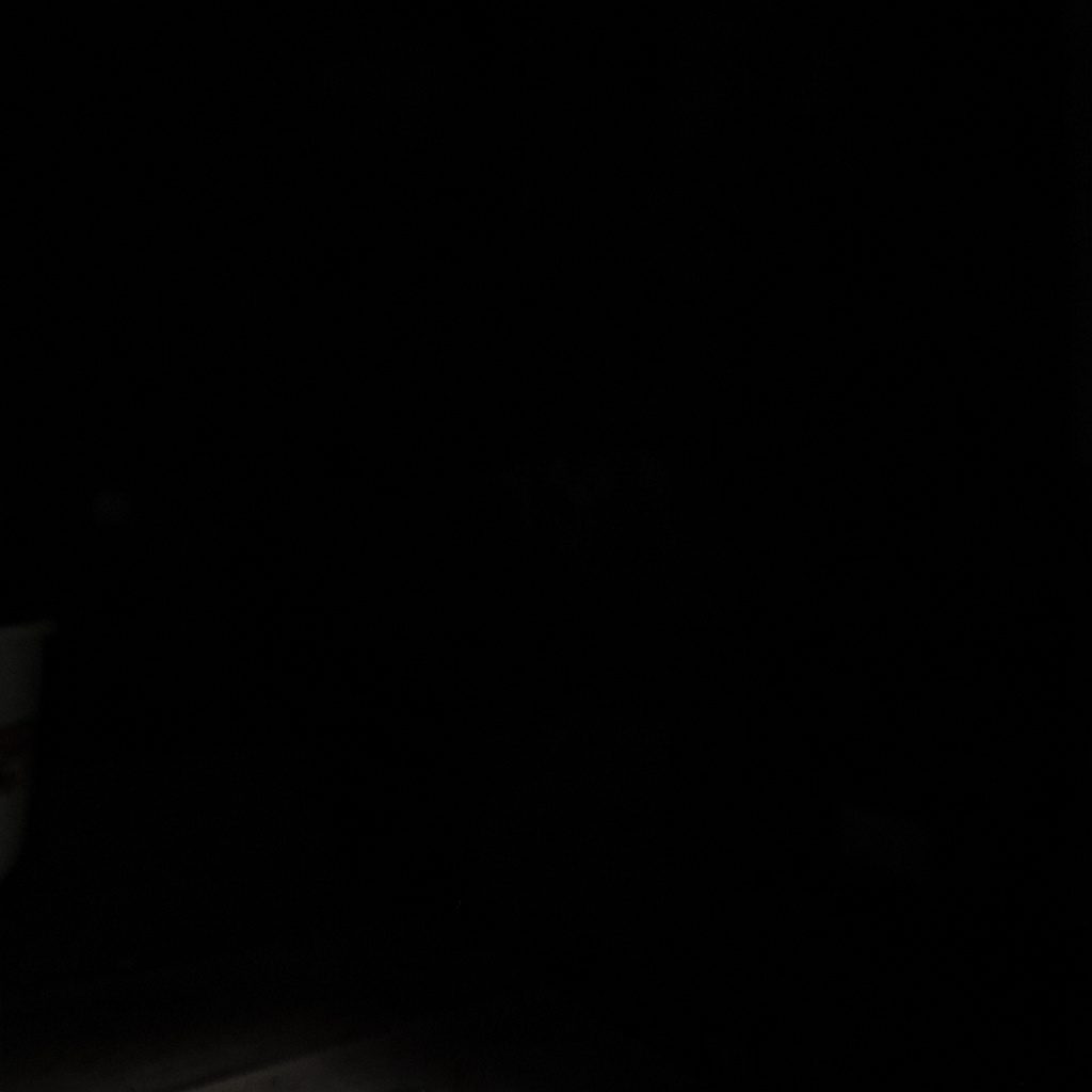 Low-key dark monochrome photograph, deep shadow and faint detail, moody and atmospheric with subtle warm dust highlights